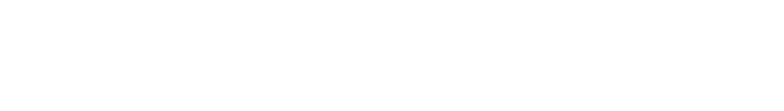 wiesinger